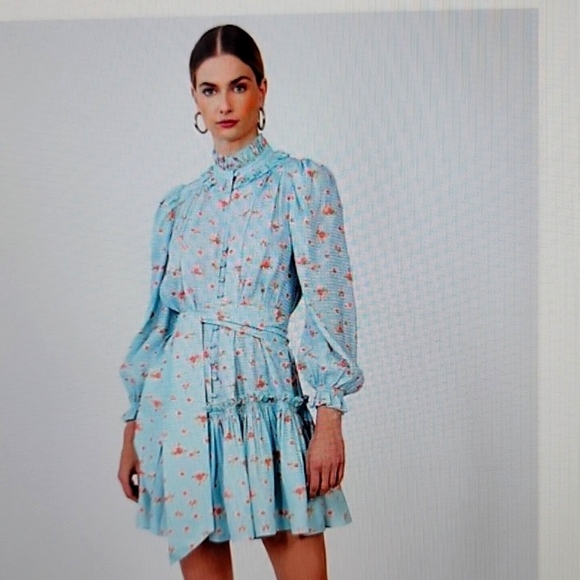 NWT Hunter Bell Blakely Dress Blue Ikat floral print ruffle dress XS - Picture 2 of 10